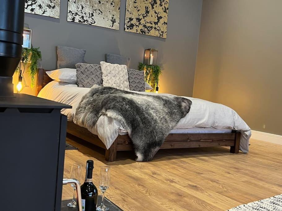 Llanbrynmair Quirky, Luxury Hideaway 빌라 외부 사진