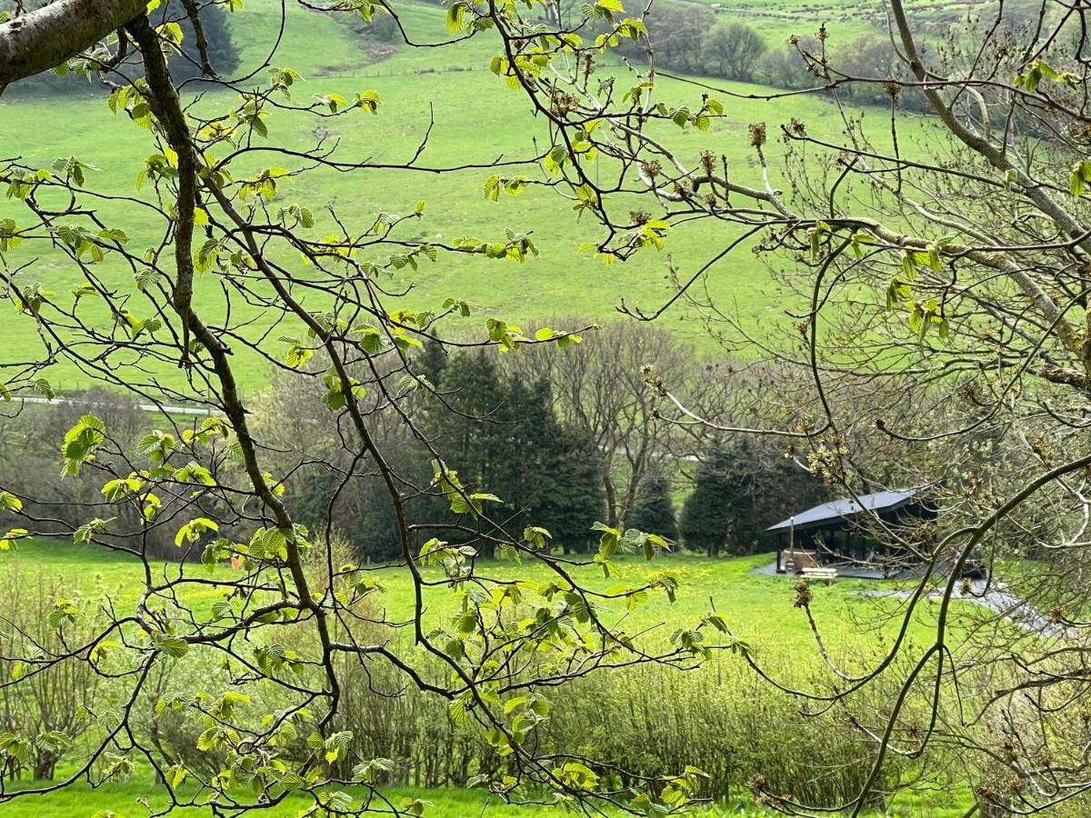 Llanbrynmair Quirky, Luxury Hideaway 빌라 외부 사진